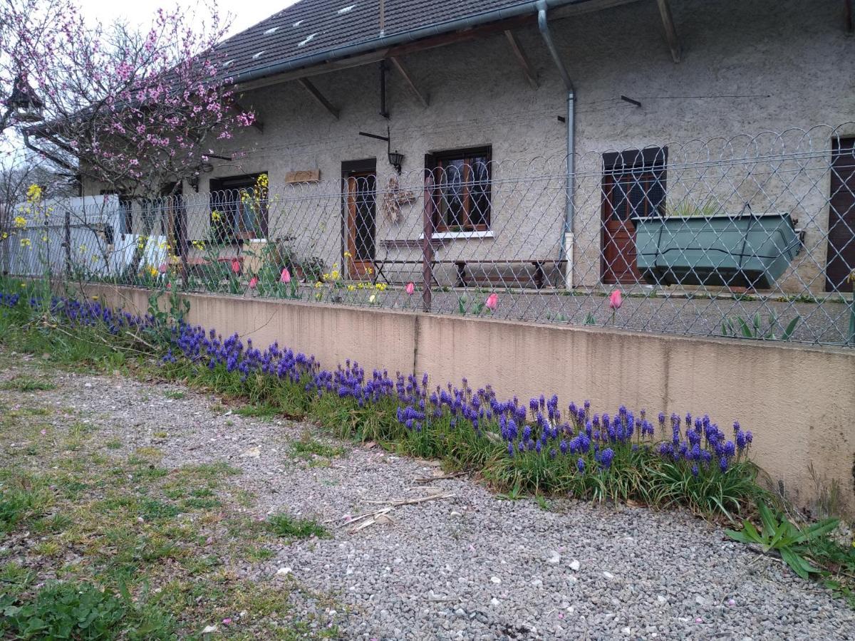 Chez Domi Syl Gite Nature Διαμέρισμα Colonne Εξωτερικό φωτογραφία